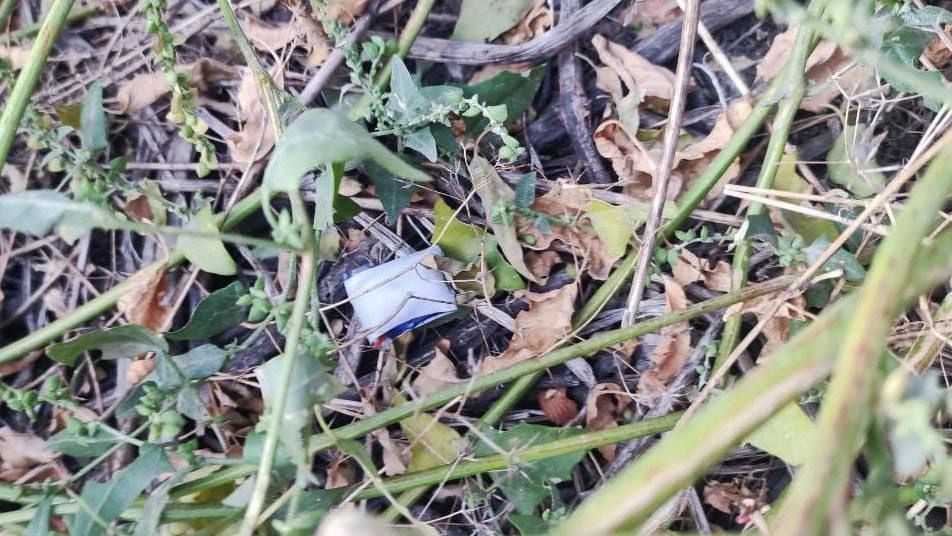 ���������� ��������������� ������� ��������� �������, �������������� ������������� ���� �� ������� � ������ ���� ������� ����������, �������� ���