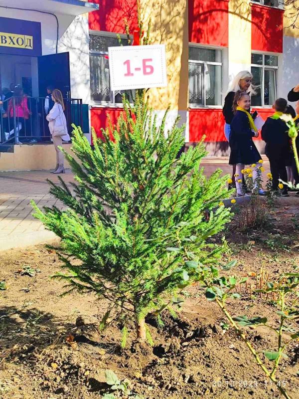 ��� ������ ��������������� � ��� ��������� ������