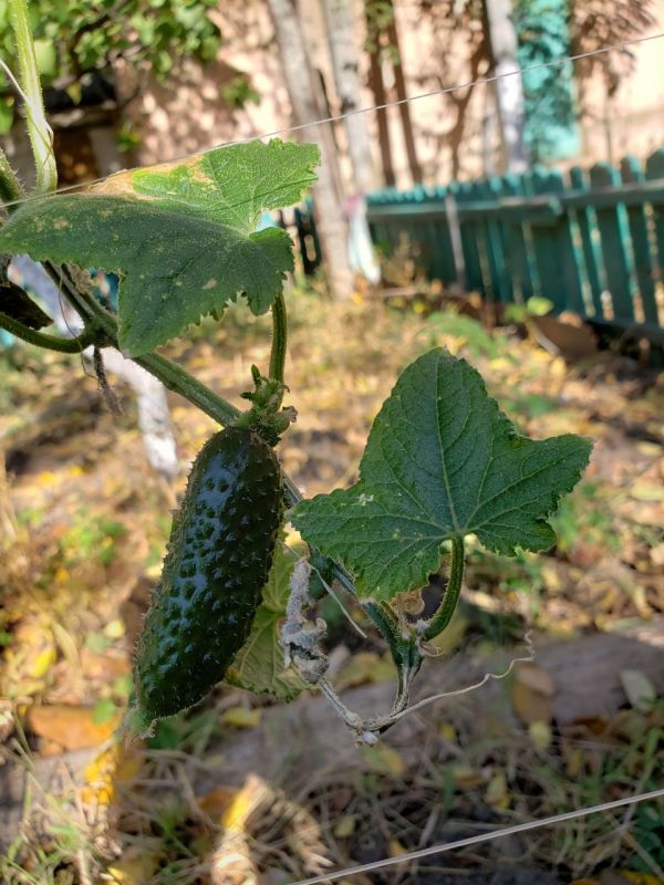 .� ��������� � ������. ���������� ������ � ����� ������� �� ���������