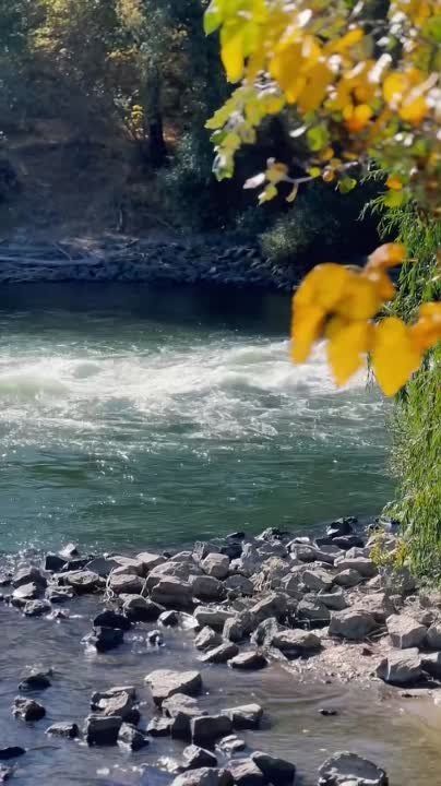 ����� ��������� ������ �������