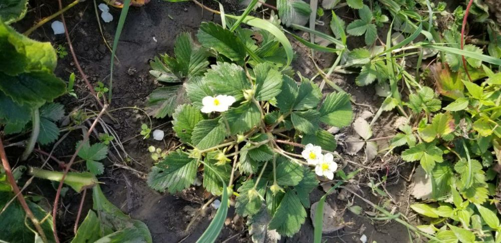 � �������� ������� ���������