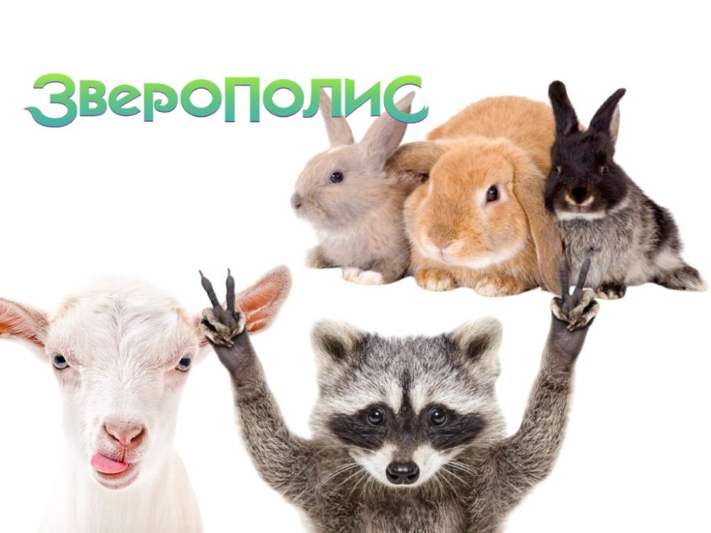 � �������������� ����� � ��������������