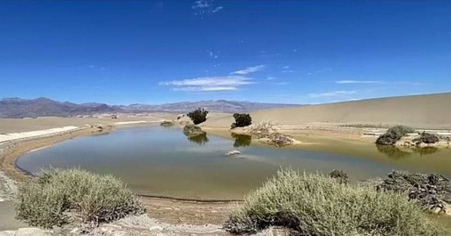 ������� �� 84 ���� ������� ������� ������ � �������� ������� ������������ � ������� �����