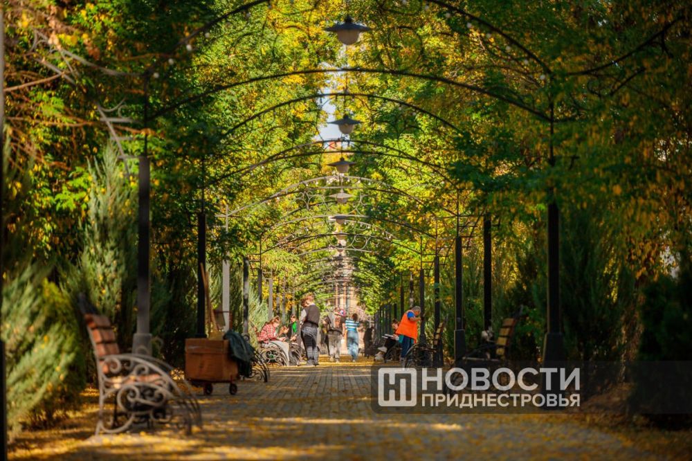 ������� 2023 ���� ���� ������� ����������������� ��������