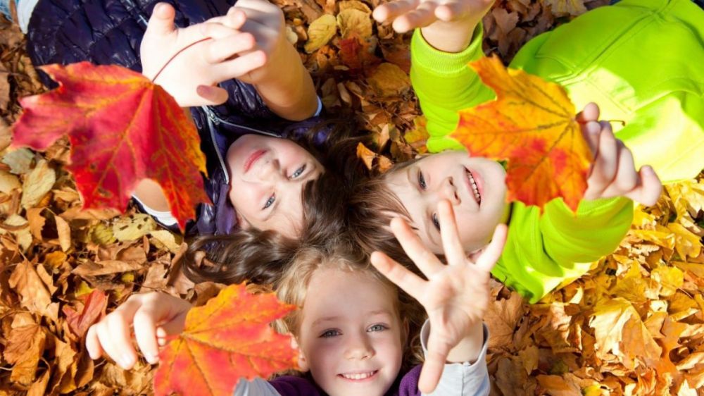 ������ � ���������� ���������� ��������