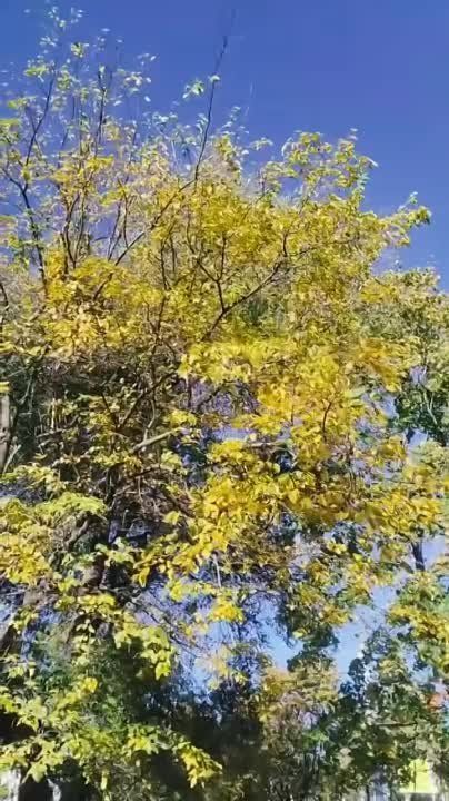 ����� �� �������� ������� ����, �� �������! ������ �������� ��������� ����� ����� � +20, ���� �� �������! ����� ������� ����������, ����� ����� ���������