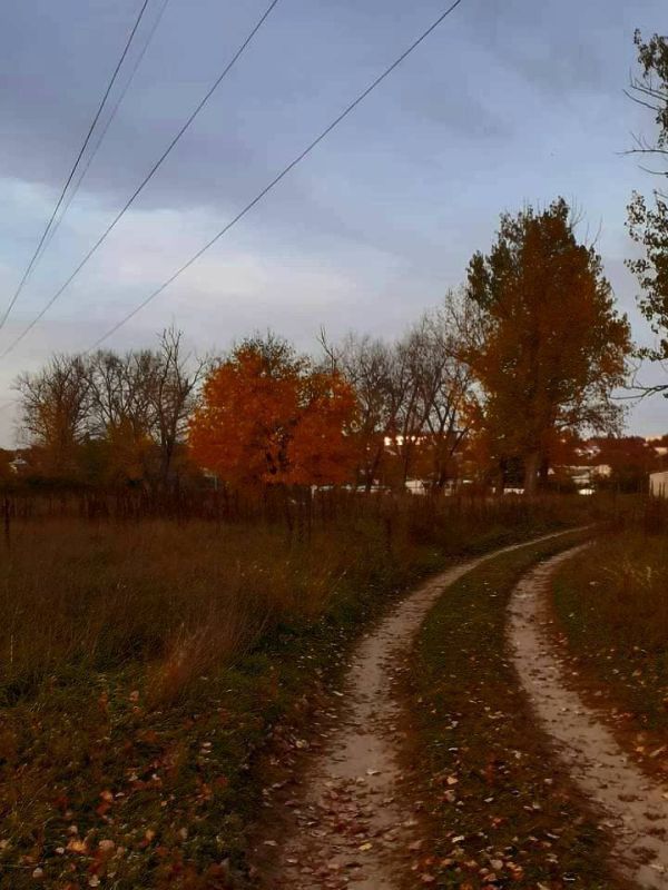 ������� � ������.. ���� ������ �������