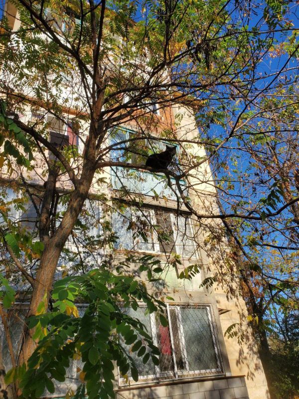 ��� ��� �� ������?