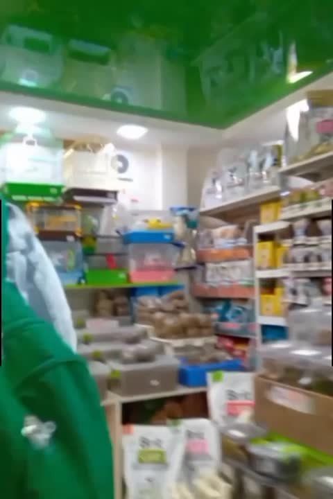 ���� ������������� ����. ������ ���������. ���������� ��������� ������� ��������� ����� ���������������� �� ����� � ���������. ��� ����������� � ������ ����