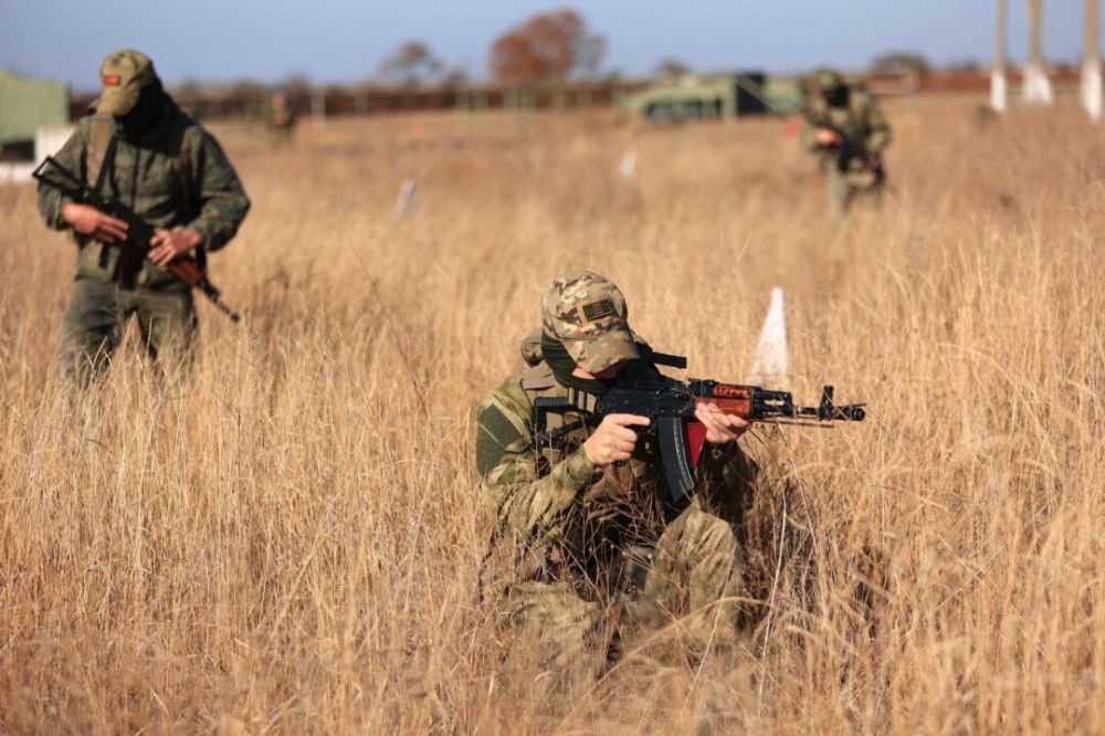 � ���������������� ������������� �������� ������������ �� ������ ������������