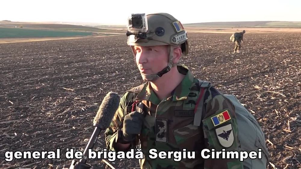 ���������-������������ ������� ������ "Aurochs Partner" �����������, �������� � ���������� ��� � ��������