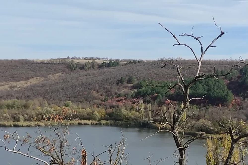 ��� �� ����� � ����� � ����� ��������� �������� � ������