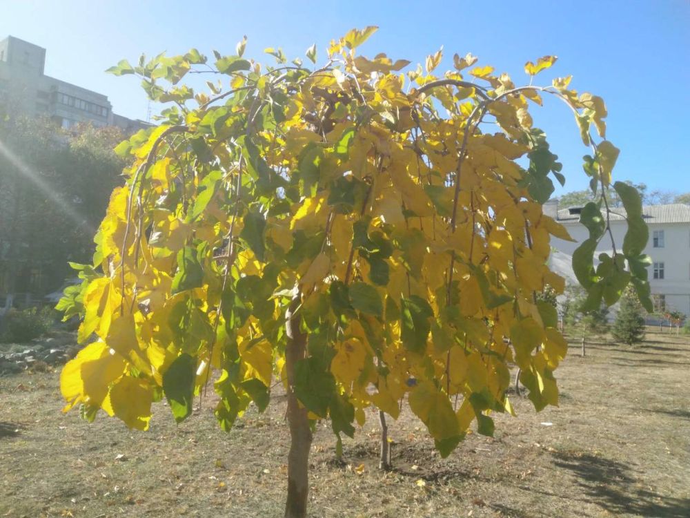 ���������� ������ �����: ��������� ������������ ������, ����� ������ � ������