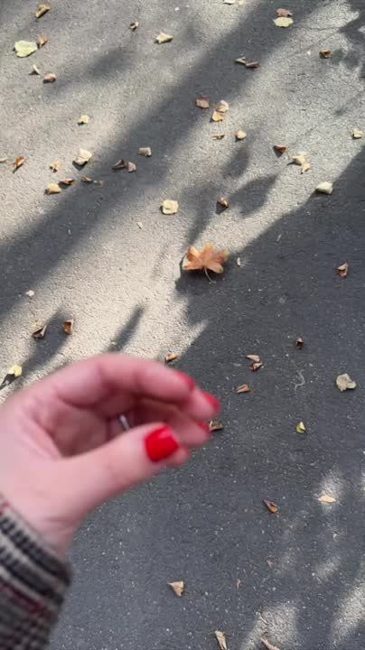 ������� ��������� ���� �������