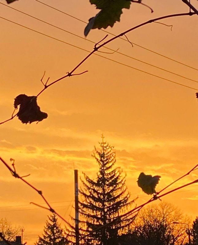 ��� ����� ������� ���� � ����������!