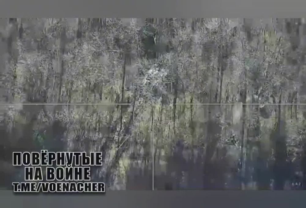 ������ �������� ��������� ��������� ���������� �-64.