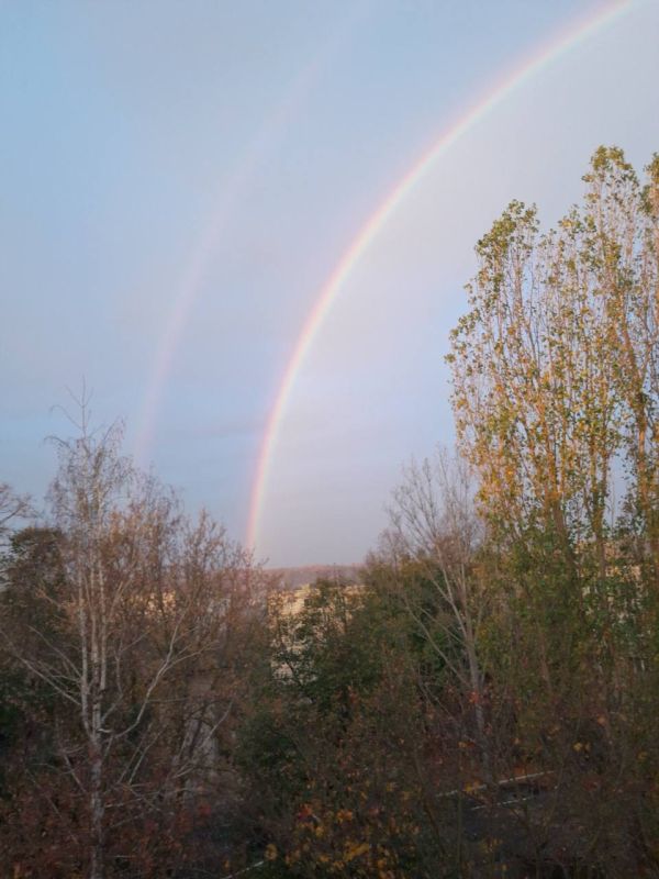 ������� ������ �� ����� ����� � �������