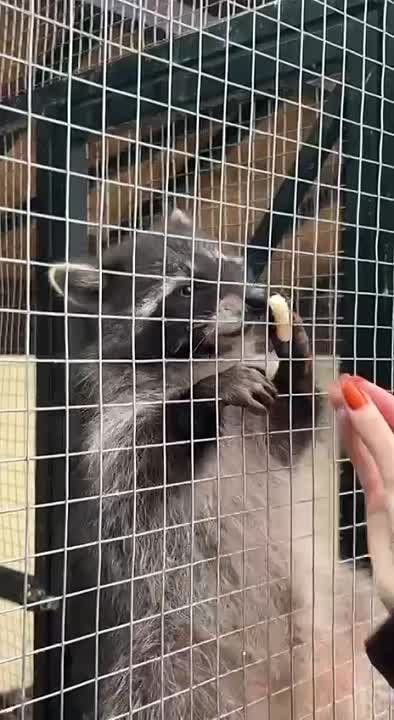 �����, �������, ����-�����, �������, ������ ����� ���������� � ������������� ��������