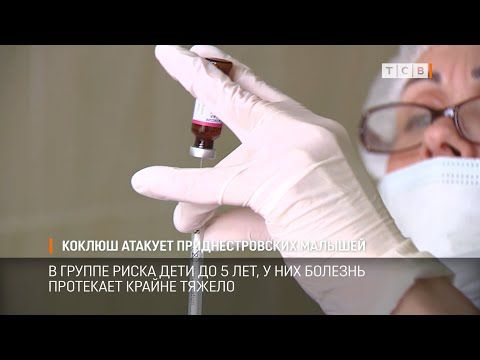 � ������������� ����� ������� ����� ������� �������. ��� ���� ������ ���������� �� ���� ������, � �� 9 ������� ����� ���� �������� �������� ��� 10 �����, 8 �� ��� � ���������. ������� � ����� �� �������� � �������� ������������� ����������