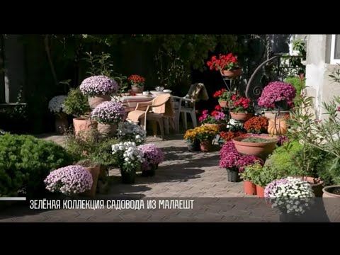 �������� � ���������. 35 ��� ������� ������ ���������� ��������, �������, ������. ���� ������ ����������������� �������. ���� � ������ ���� � ���