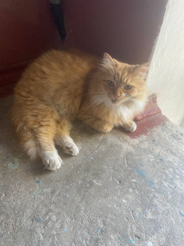 �������� �� ��������, � �� �������� ��� ���� � ������� ������ �����