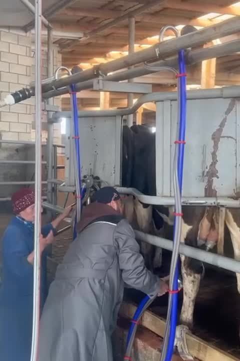 � �����! � ��� ������! ����� ������!