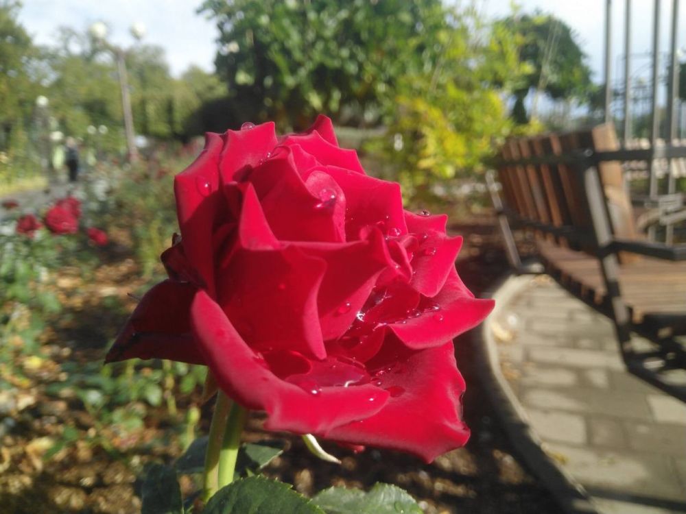 ����� ������� ���� � ����� ���������� ����