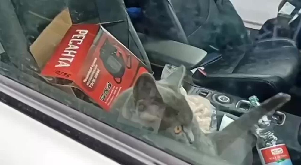 � �������� ������ ����� ��� �������-��������� ������� � ��������