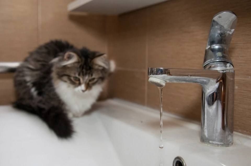 � ����� � �������� ����������� �� ��.������������������, 2, ������, 2 ������, � 8:30 �� 17:00 ����� �������������� �������� ������������� � �����, ������������� �� �������: