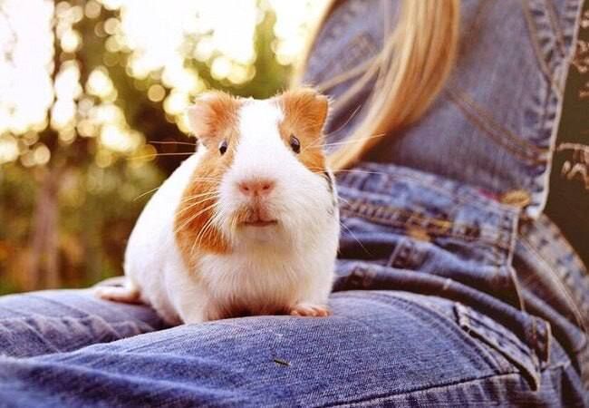 �������, � ���� ������ ������� �������� �������, � ����-����� ��������������� ����� �������� ���������� �������