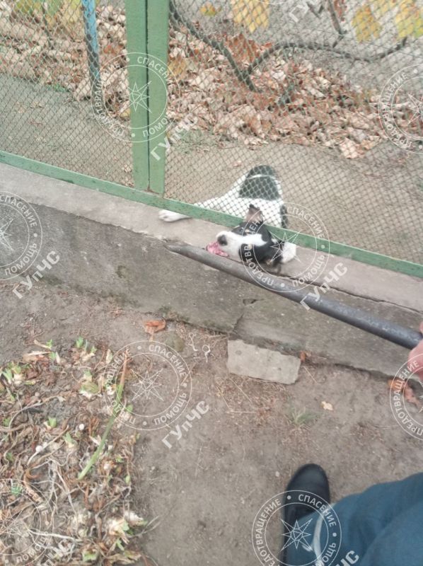 ������ ������. ����� 7 ���� 1 ������ ��������� ��� �. ��������� ��������� ���������: � ����� �� ������ ����� ������������� ������� � �������� ���������� ������� ��������� �����. ������������� ������ ����������