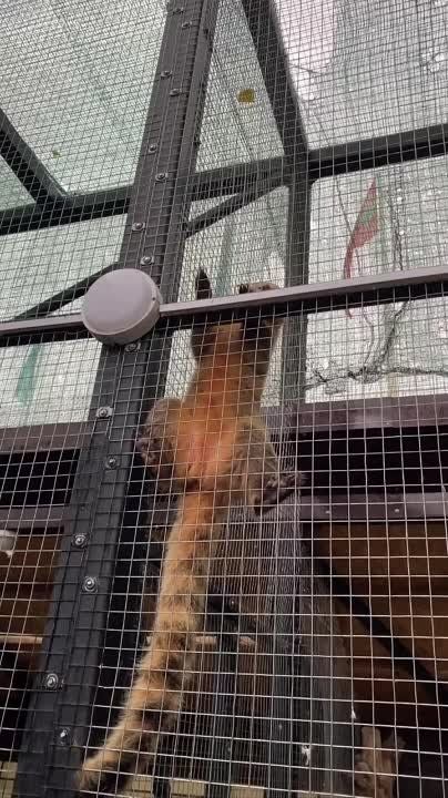 ������ ����������� � ���������� �������� ���������