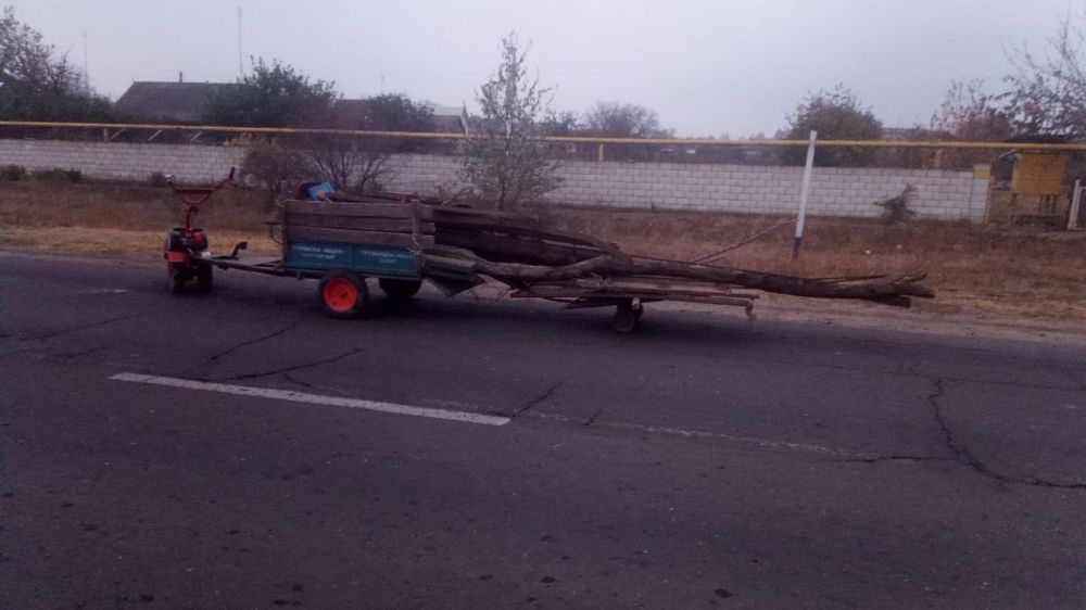 ������ ��������� �� ������ ����������-��������������� � ������ ���� ����, ���� �����