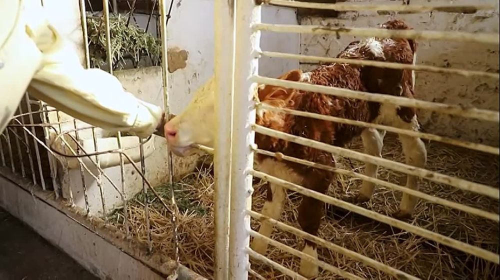 � ����� ��������� �� ���