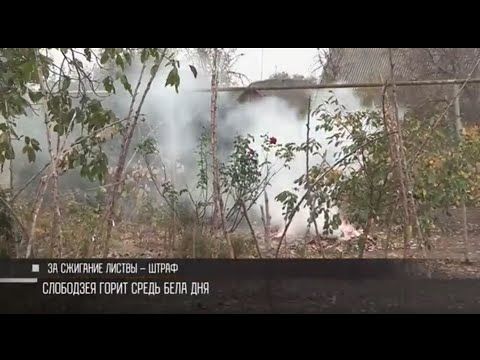 ���� ����� ������ ��� �����. �� ���� ����� ������ ��������� �������� � ����� ������ �� ������� �������. ������ �� ���� ���� ����. ��� ������� ����� ������������, �������� �������. � ������� �������