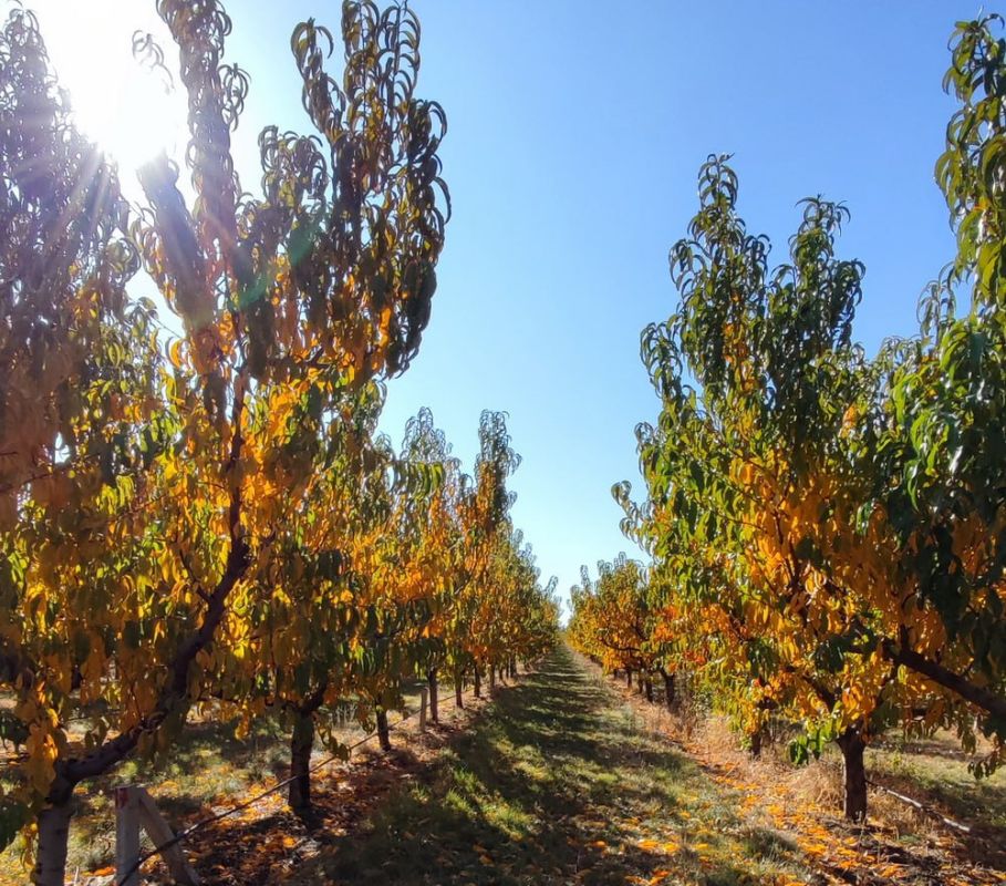 ������� ������ � ������������� �� ������ � 6 �� 12 ������