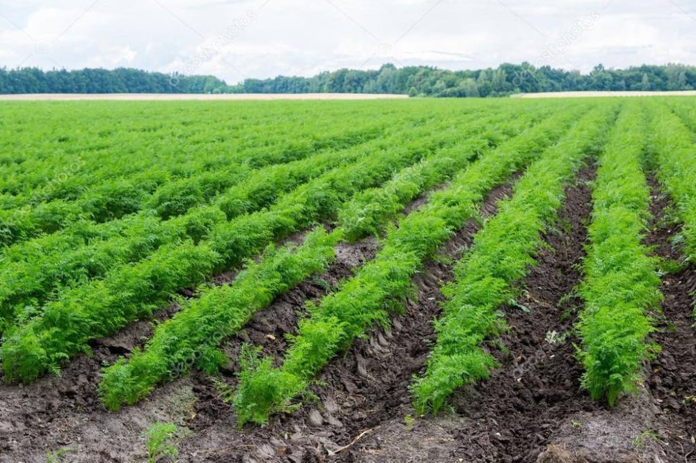 �� ������������� ����� �� ����� ��������� ������ ��������� ������