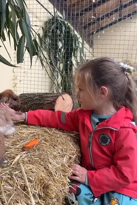 ���-�� ������ �������, � ���-�� �������� ������