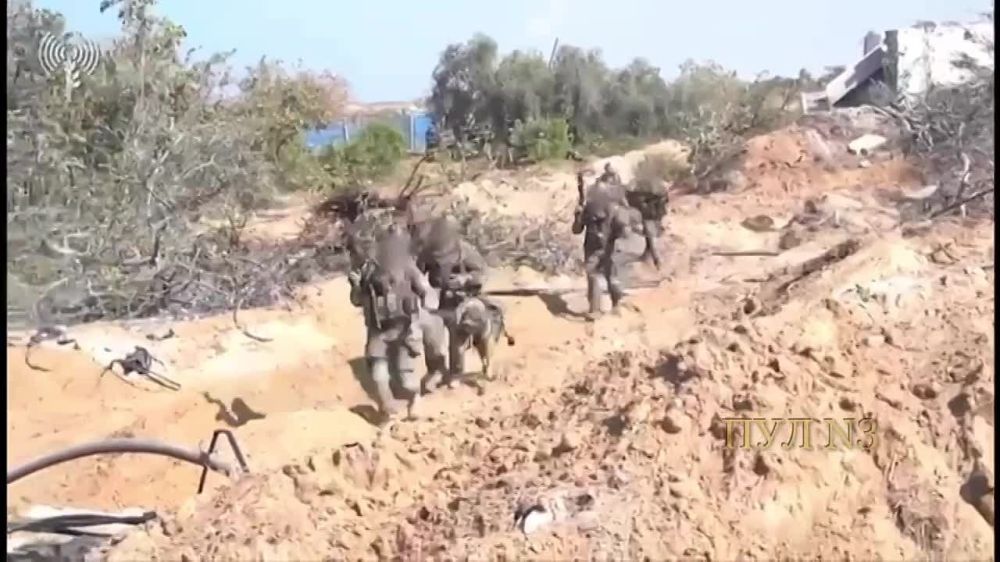 ����� ����������� ���������� � ��������� � ������� ����: �������� �������� � ��� � ������������ ��� ���������...