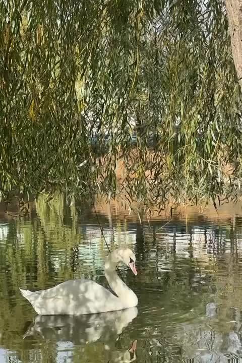 � ����� � ������� � ����� ������