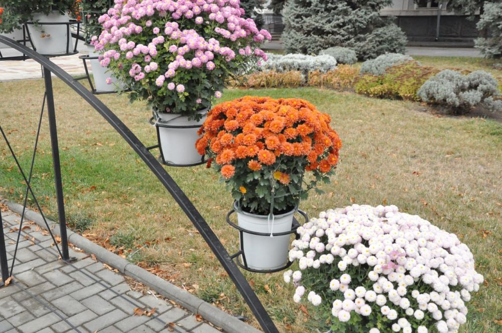 ������ ������ ������ ����� �����, ���������� � ��������; ��� � ��������� ����, ���� � ��������� ��� ����