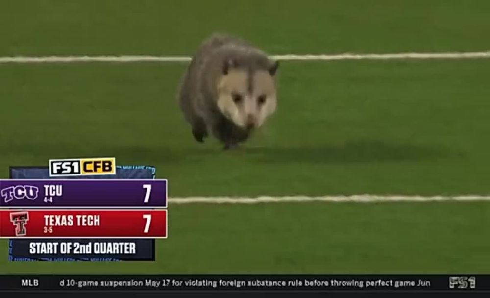 ����� �������� ����� �� �������� �������� �� ������ ������������� ������� � ������, ������� �� ����� ����� �� ����