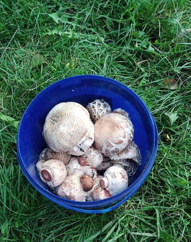 �������� � ���� ���� �������� ��� ����� �����