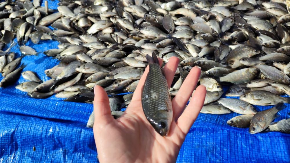 �������� �������� �� ���������� �������