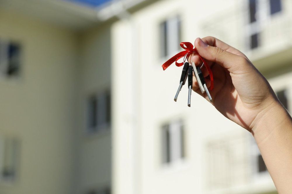 � ��������� ���� ���������� ������ ������ ������ ������� ��� �����-�����