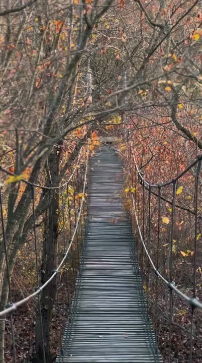 ��������� ����. � ������������ ���� ��������� (���������������� �����) ���� ��������� ����, ��� ����� �� ������ ������� �������� ����, �� � ����� ���������. � ����� �� ���� ���� ����, ������, ���� ������� � ������� ������