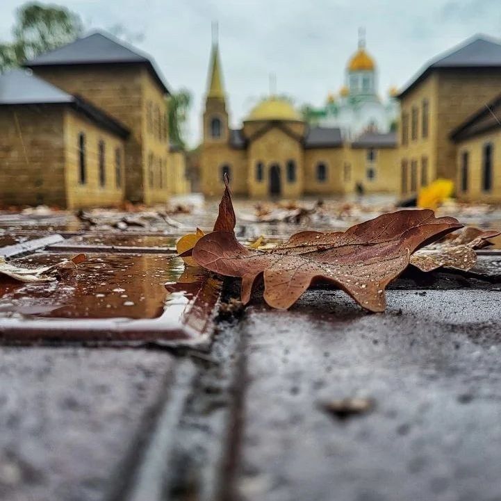 ����� � ��������������.