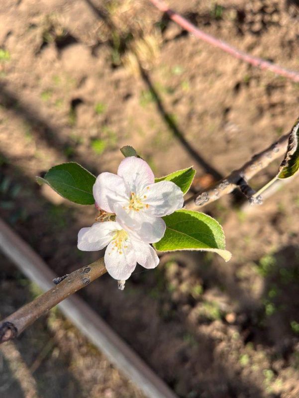 � � �������� ������ ������