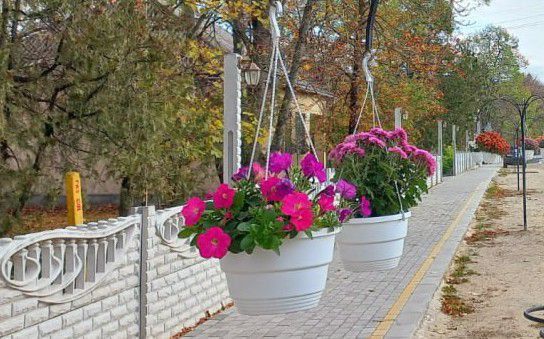 � ���� ������� (��������� �����) � ��� ���� ���� �����