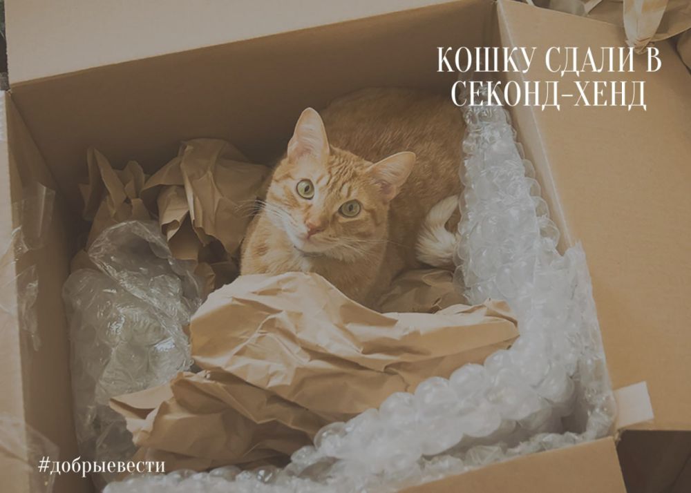 ����� ����� � ������-����. � ������� ����� �������� ��� �������� ���� ����� ����� ����������